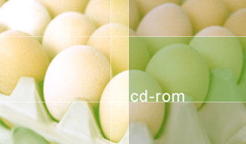 cd-rom
